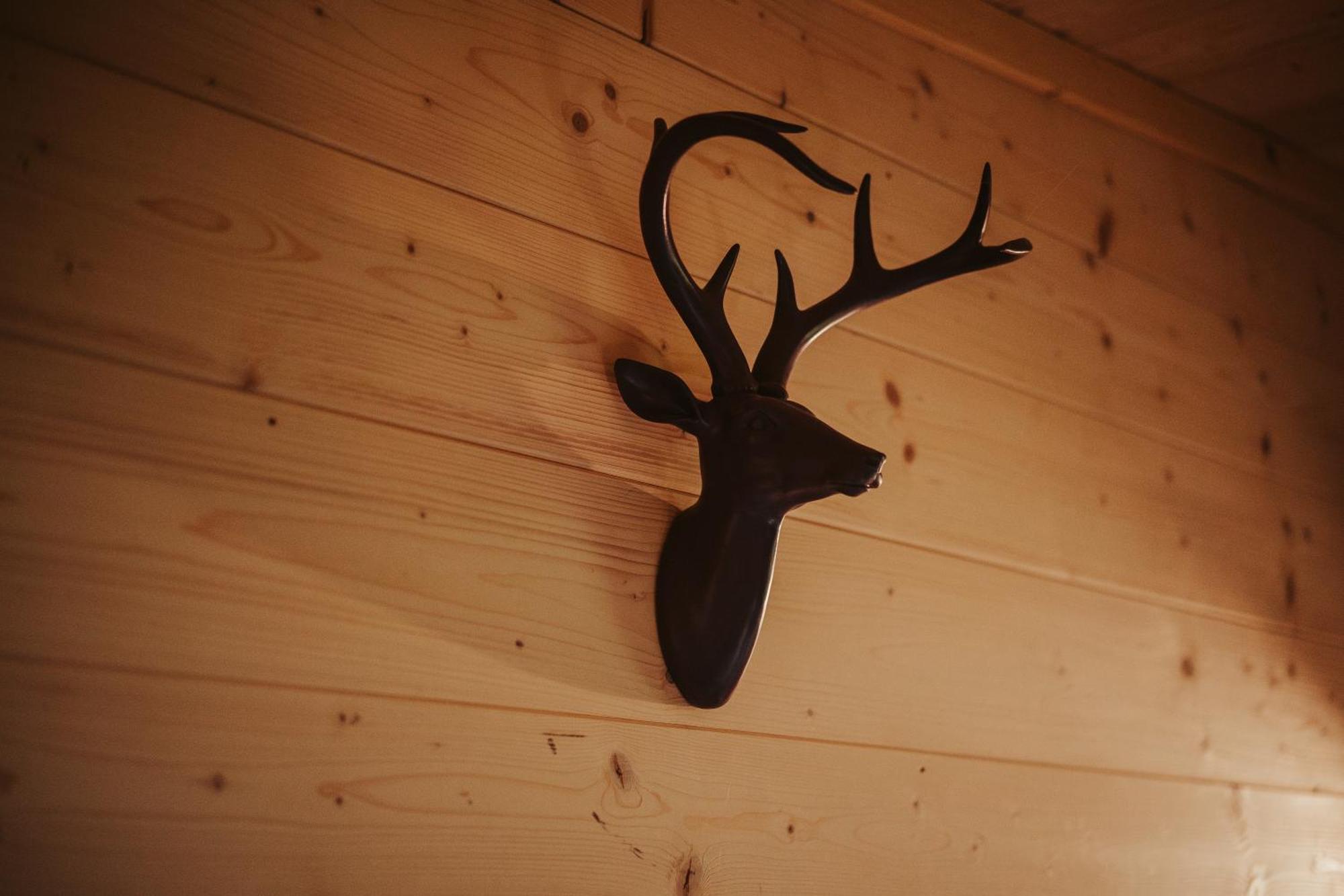 Treehouse Tucapy Hotel Eksteriør billede